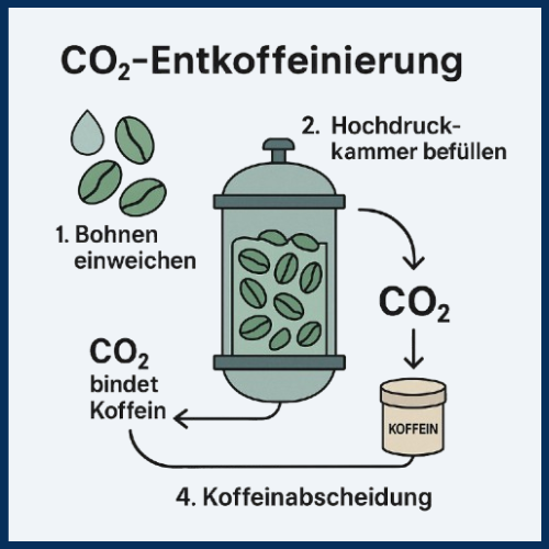 Diagramm zur CO₂-Entkoffeinierung von Holy Decaf Kaffee mit Bohnen einweichen, Hochdruckkammer, CO₂ bindet Koffein und Koffeinabscheidung
