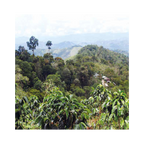 Secret Garden BIO – edle Verpackung, vollmundiger Hochlandkaffee aus Peru