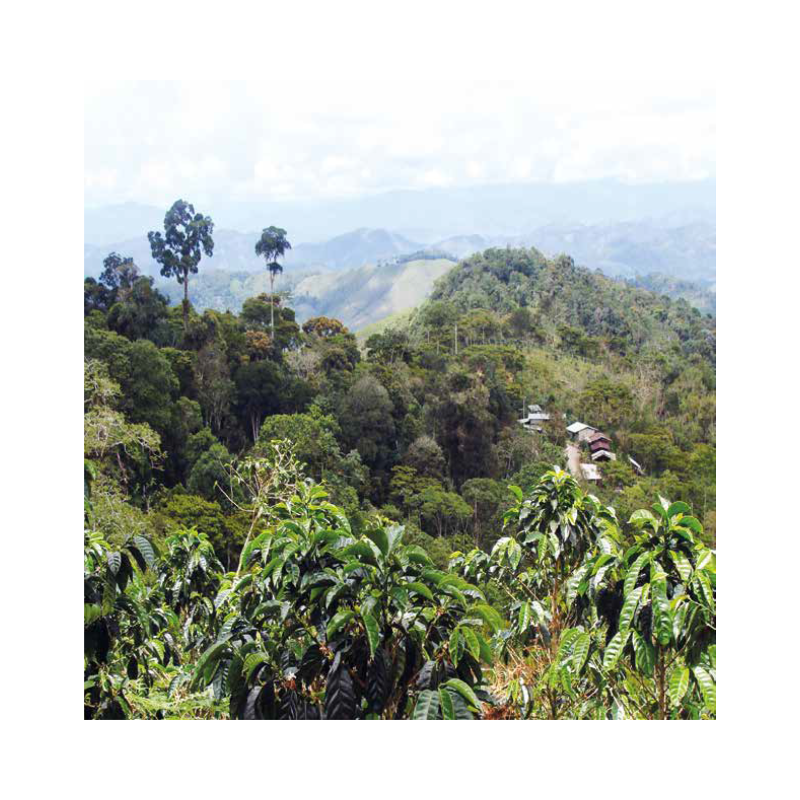 Secret Garden BIO – edle Verpackung, vollmundiger Hochlandkaffee aus Peru