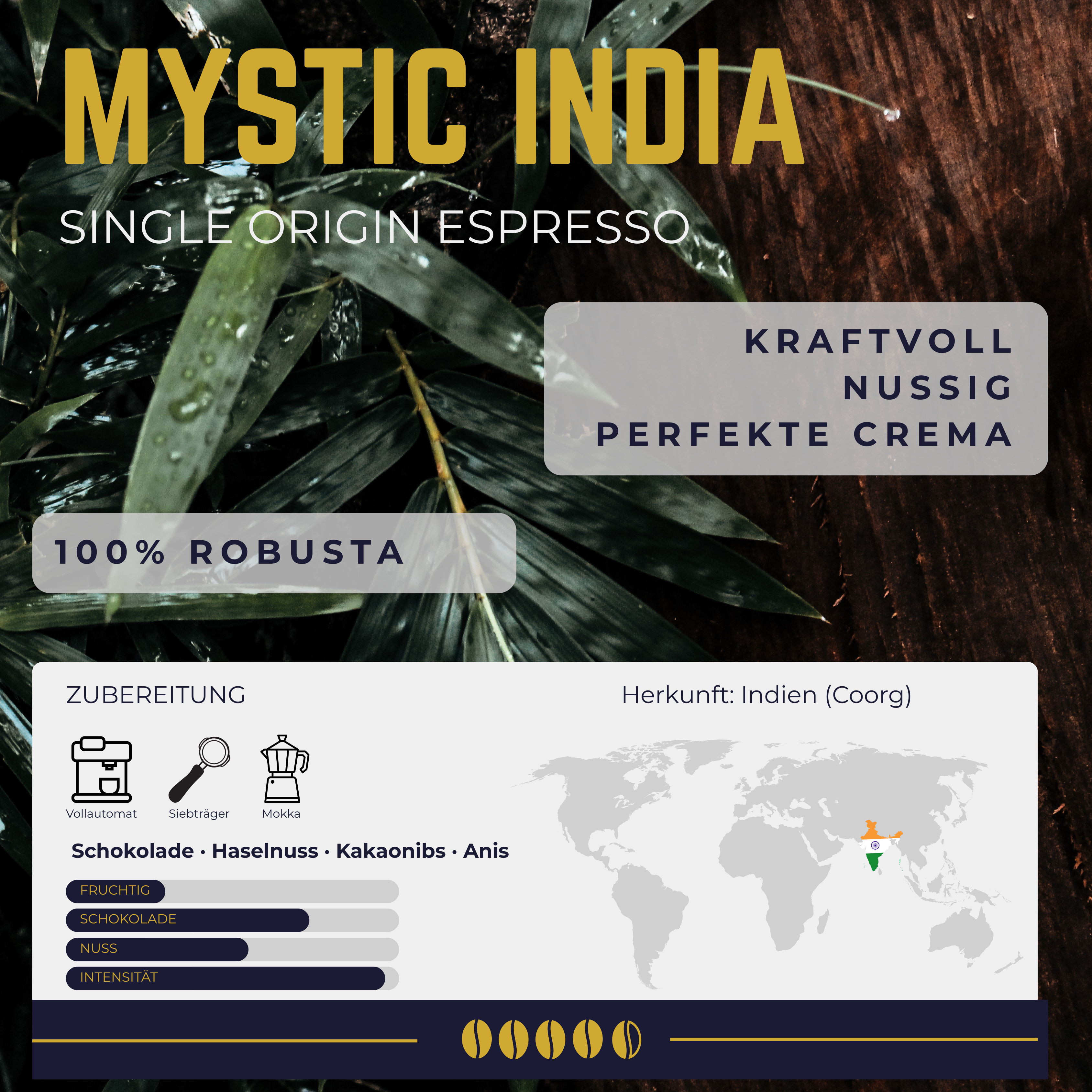 Mystic India Bio