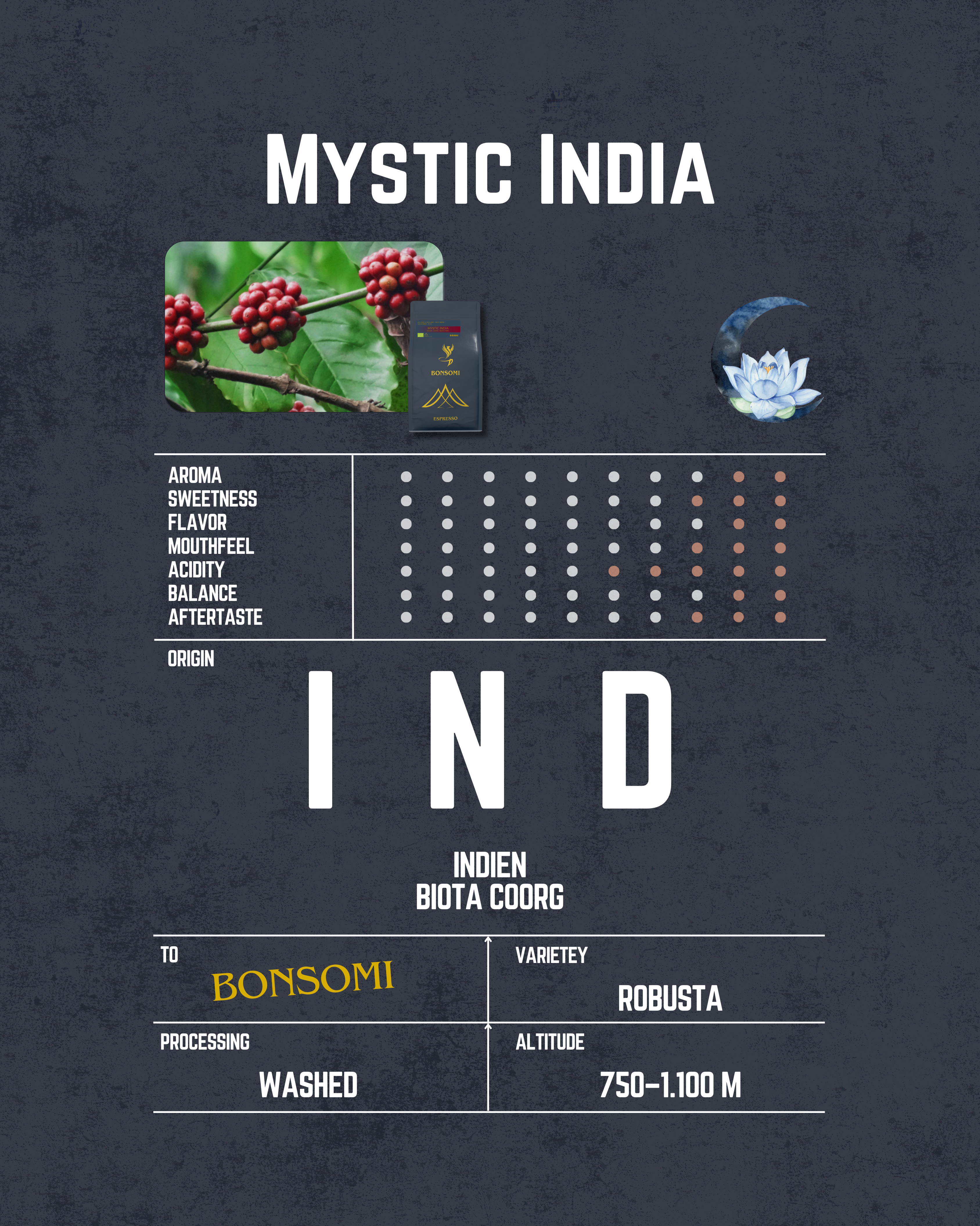 Mystic India BIO