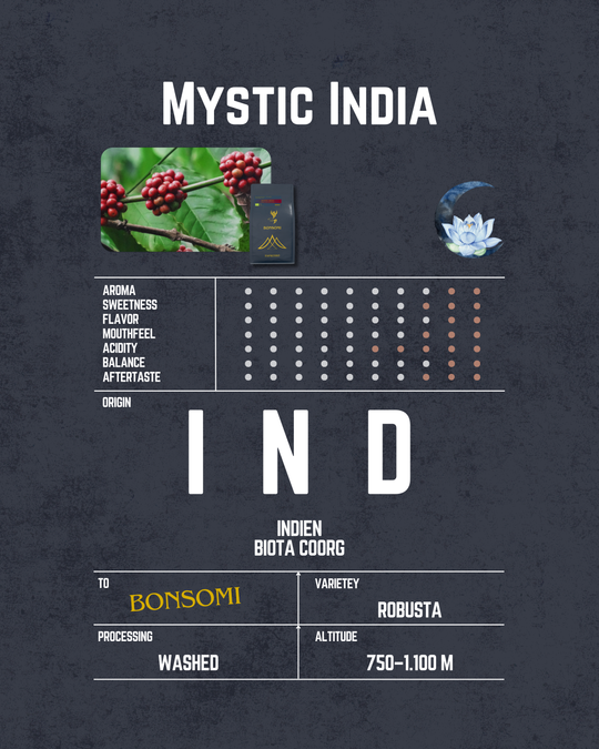 Mystic India